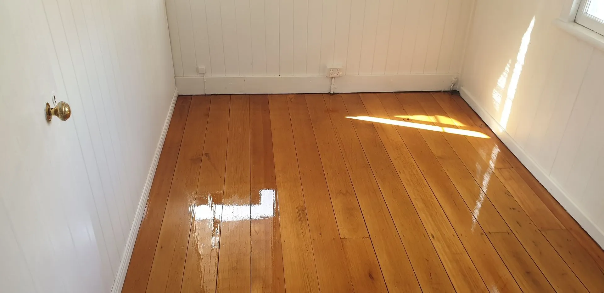 Resized_Resized_20200517_101443-1920w